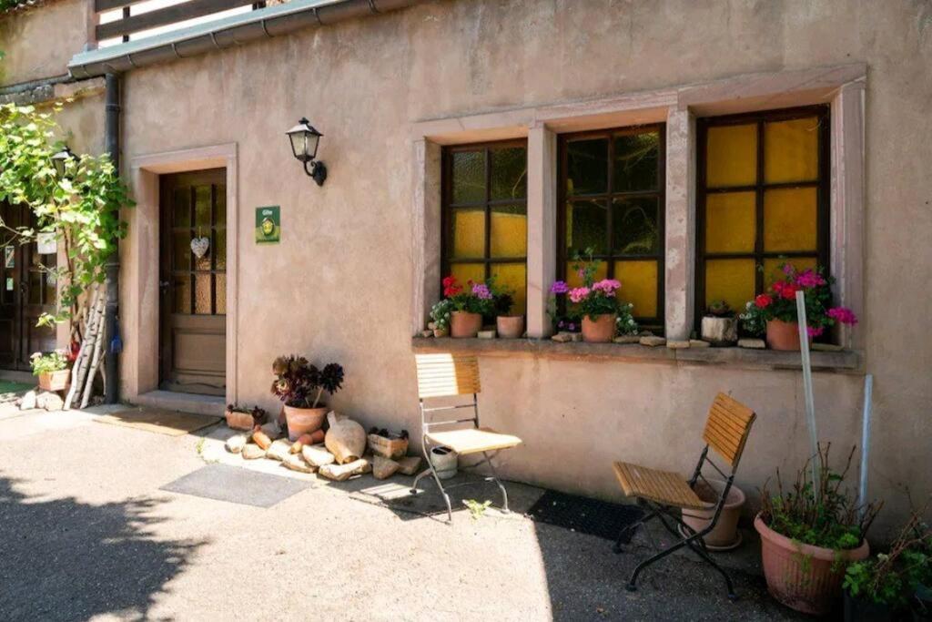 Gite L'Oeuf Ou La Poule, Parking Prive, Sur Domaine Viticole Рибовілле Екстер'єр фото